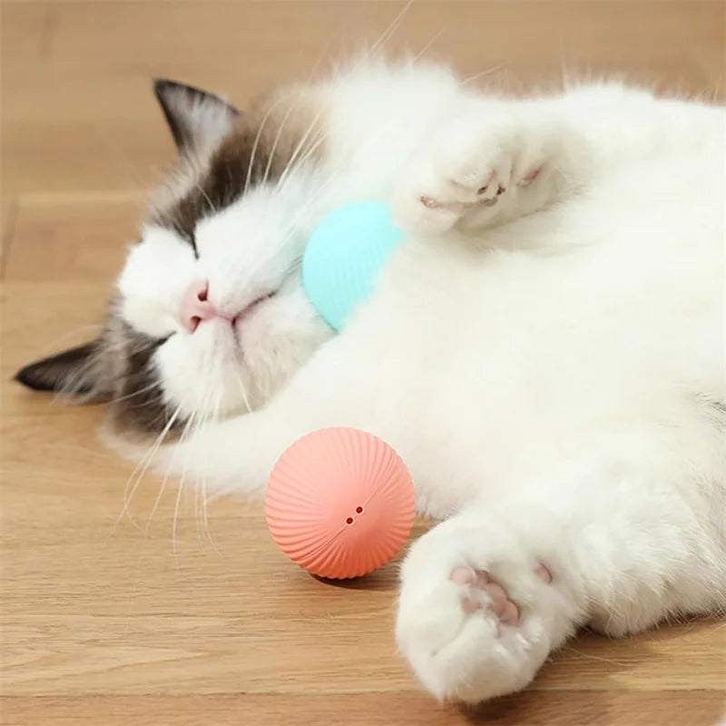 Electronic Interactive Pet  Moving Ball