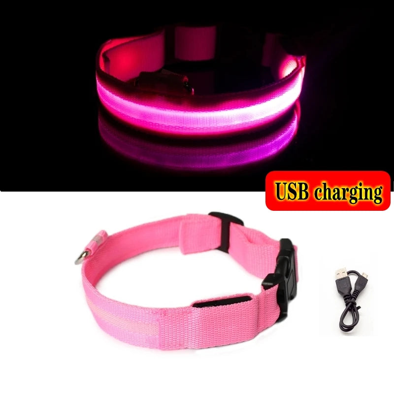 LED Dog Collar For Night