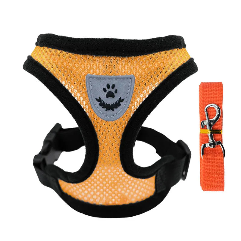 Breathable Mesh Cat Small Dog Harness And Leash