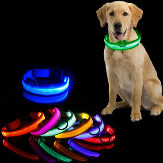 LED Dog Collar For Night