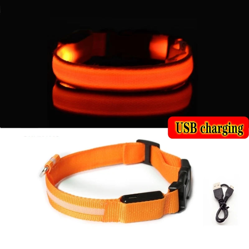 LED Dog Collar For Night