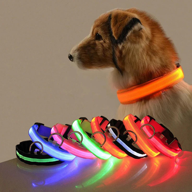 LED Dog Collar For Night