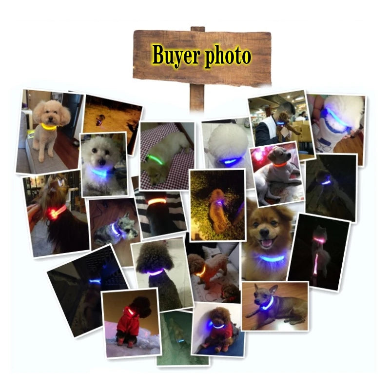 LED Dog Collar For Night