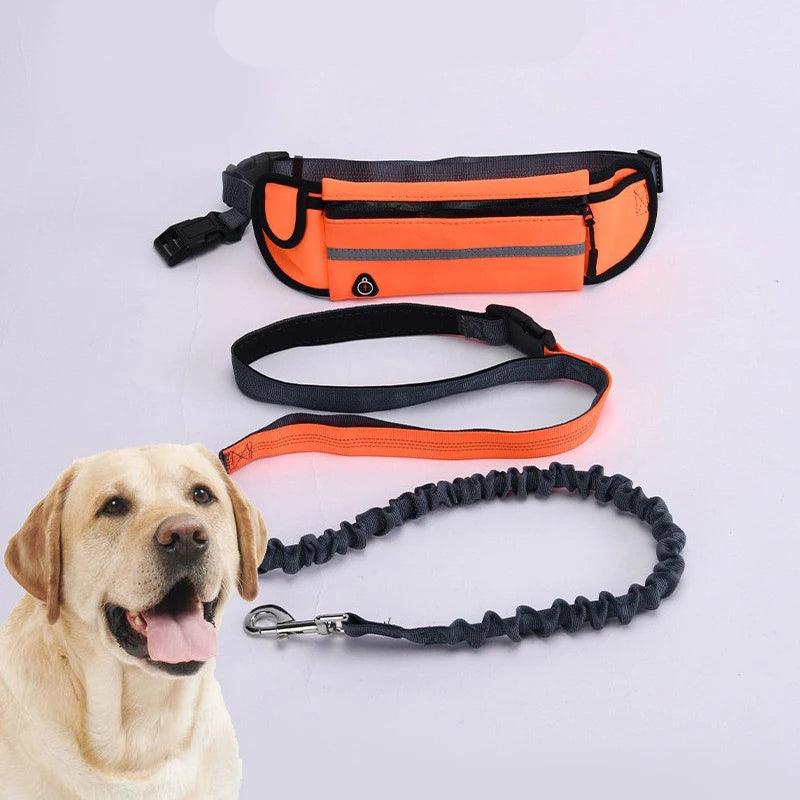 Hands Free Dog Leash