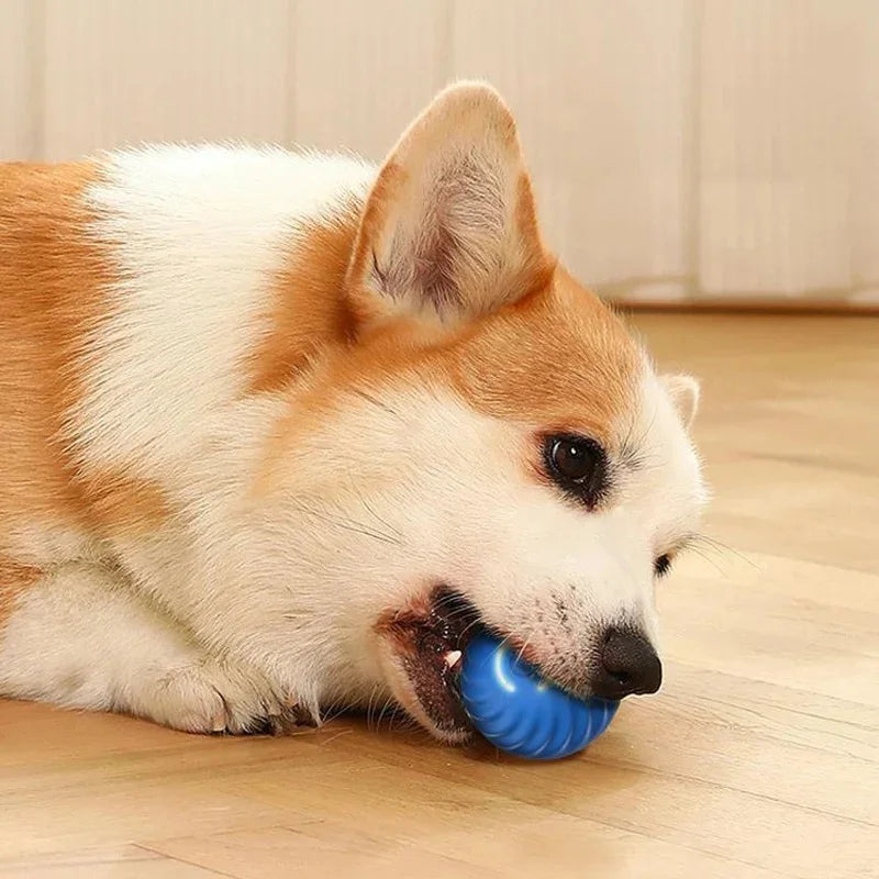 Electronic Interactive Pet  Moving Ball