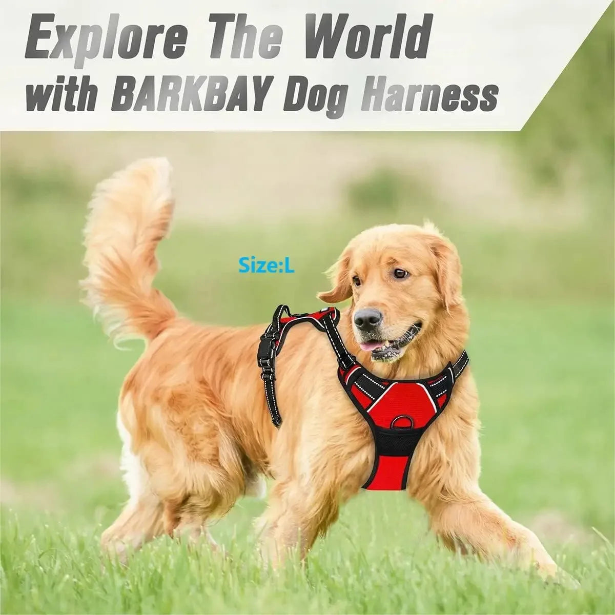 Dog Harness