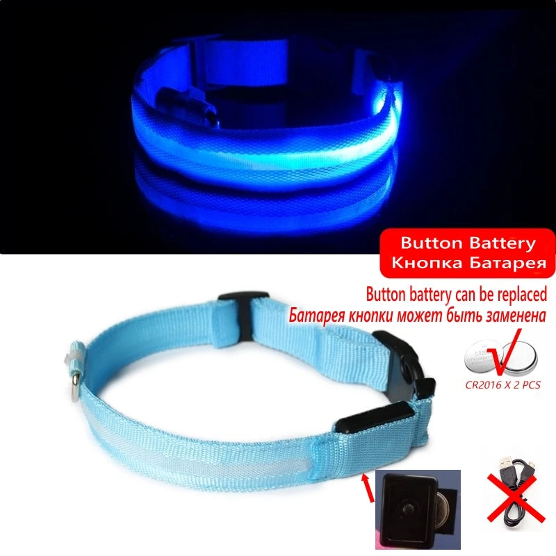 LED Dog Collar For Night