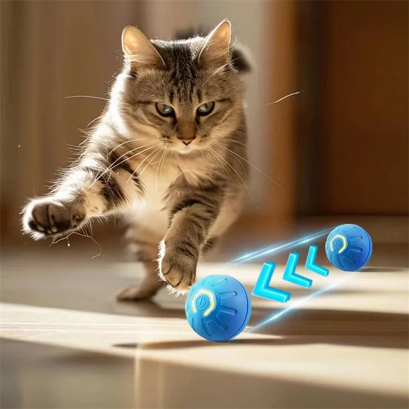 Electronic Interactive Pet  Moving Ball