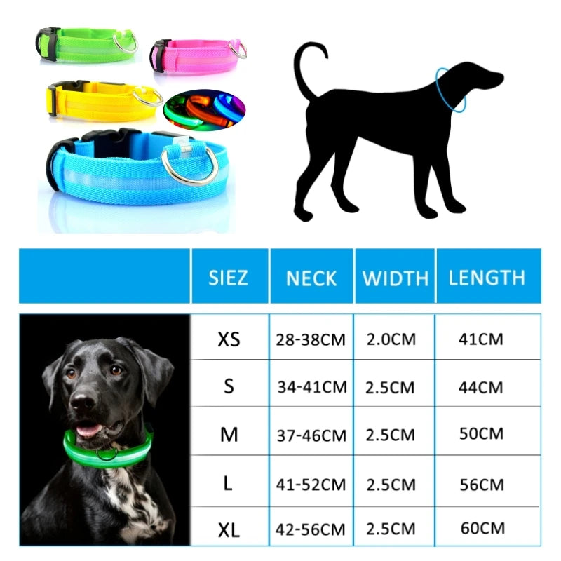 LED Dog Collar For Night