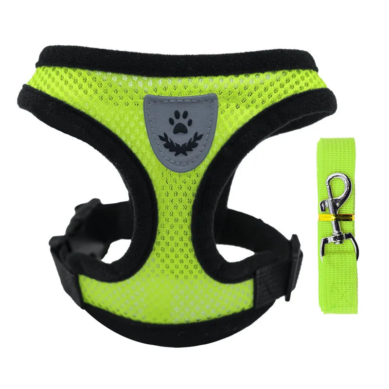 Breathable Mesh Cat Small Dog Harness And Leash