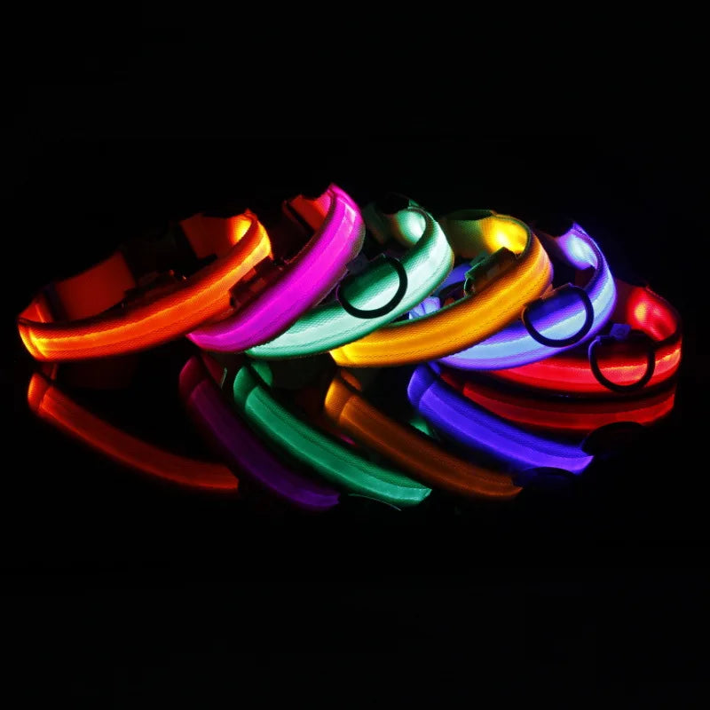 LED Dog Collar For Night