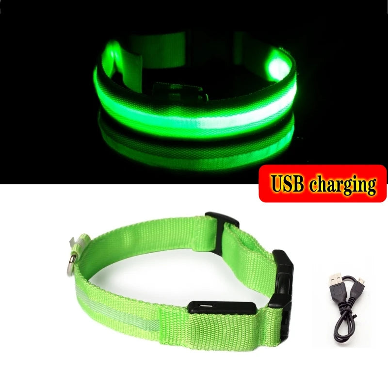 LED Dog Collar For Night