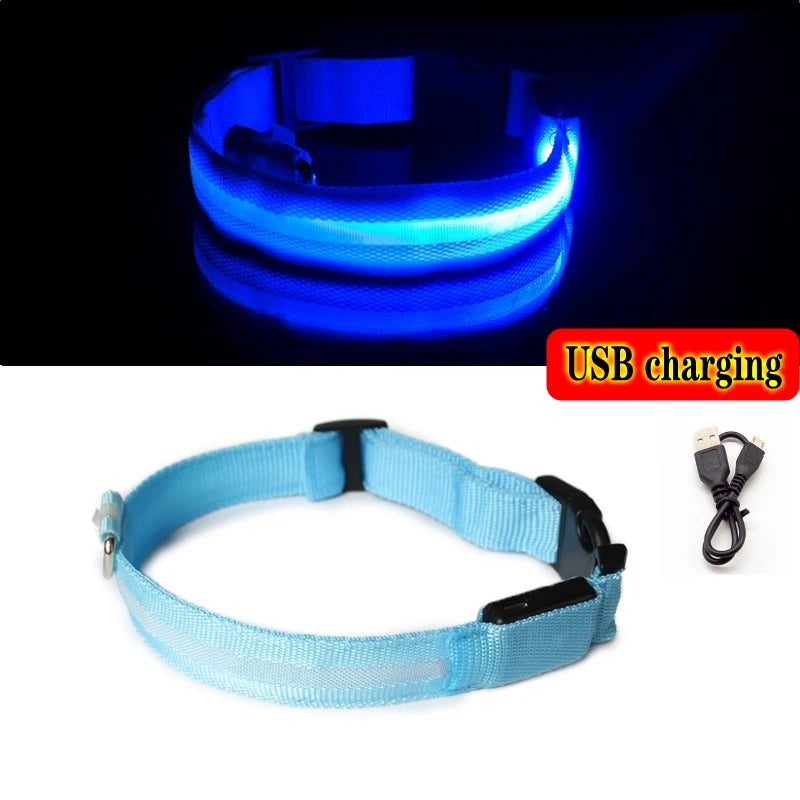 LED Dog Collar For Night