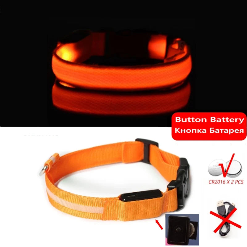 LED Dog Collar For Night