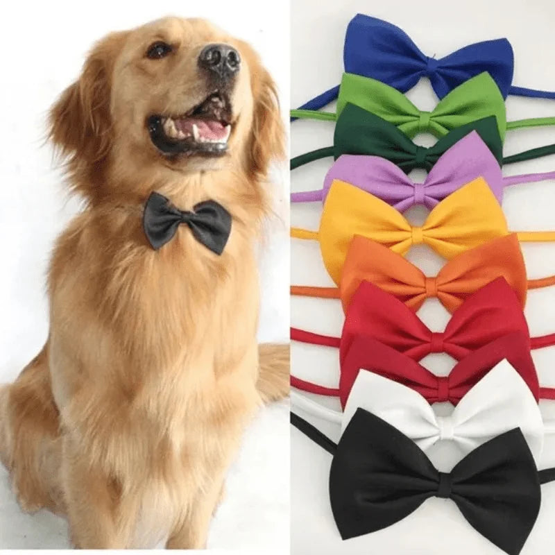 Pet Bowtie Collar