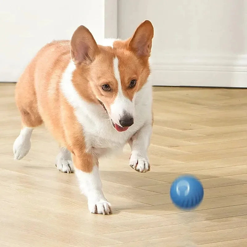 Electronic Interactive Pet  Moving Ball