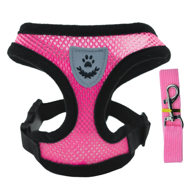 Breathable Mesh Cat Small Dog Harness And Leash