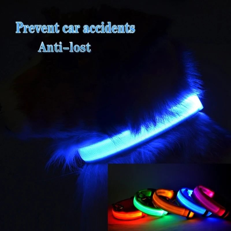 LED Dog Collar For Night