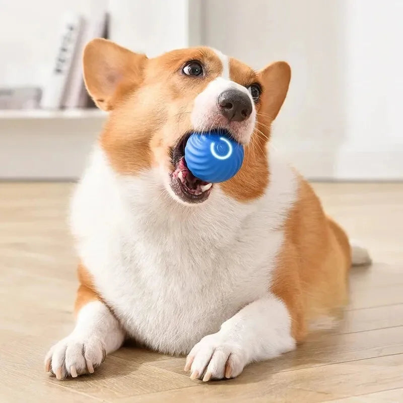 Electronic Interactive Pet  Moving Ball