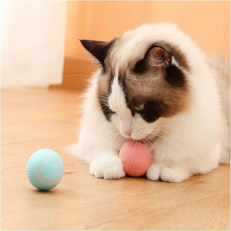 Electronic Interactive Pet  Moving Ball