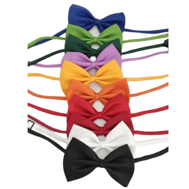 Pet Bowtie Collar