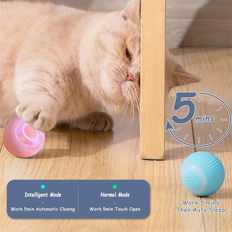 Electronic Interactive Pet  Moving Ball