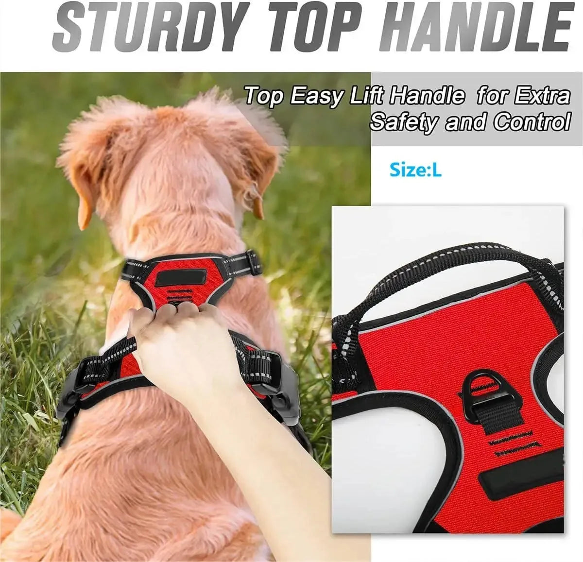 Dog Harness