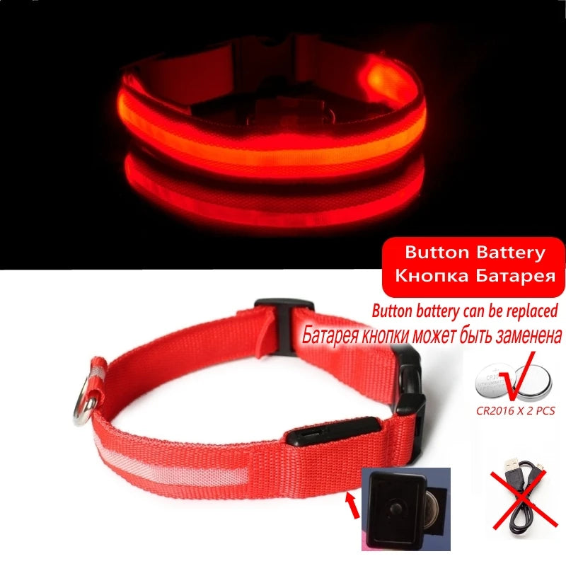 LED Dog Collar For Night